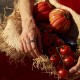 Каблучка "Brigitte" у білому золоті к08381
